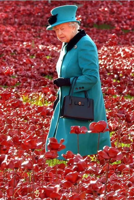 Queen Elizabeth in poppy field